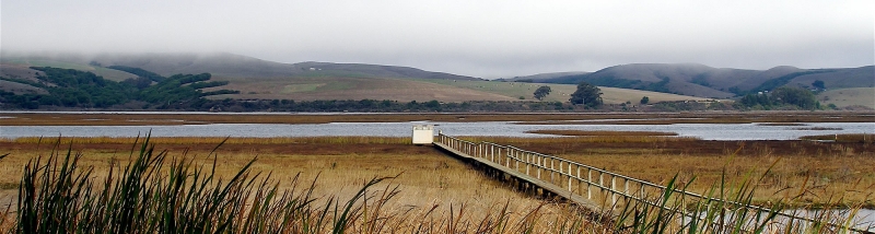 motel inverness on tomales bay