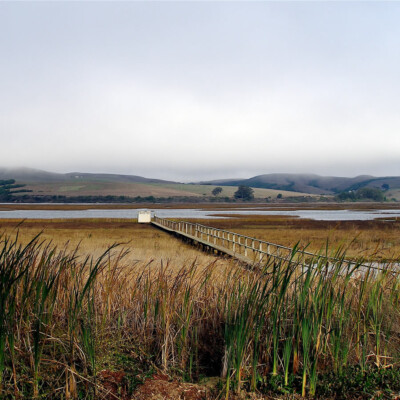 motel inverness on tomales bay